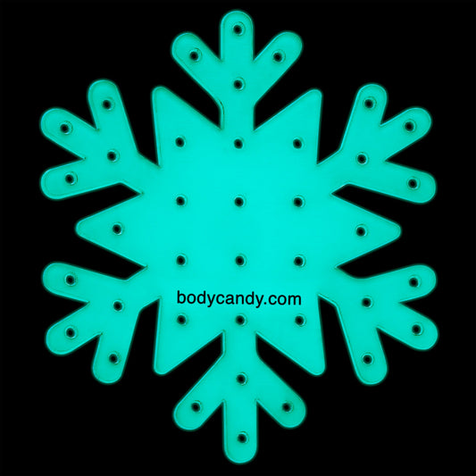 Glow in the Dark Snowflake Travel Flat Back Earring Palette
