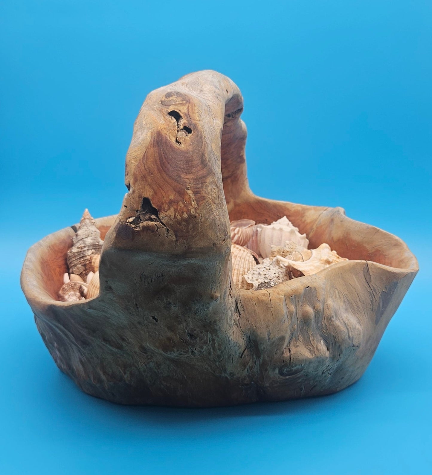 Driftwood Basket with Seashell Assortment – Rustic Coastal Decorative Accent 14.5"