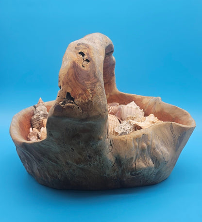 Driftwood Basket with Seashell Assortment – Rustic Coastal Decorative Accent 14.5"