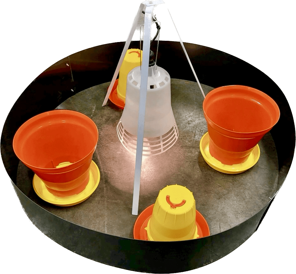 SureGrow™ 100 Chick Brooder - Infrared Electric Brooder