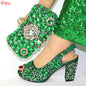 Women Shoes and Bags To Match Set Italy HJL1-2