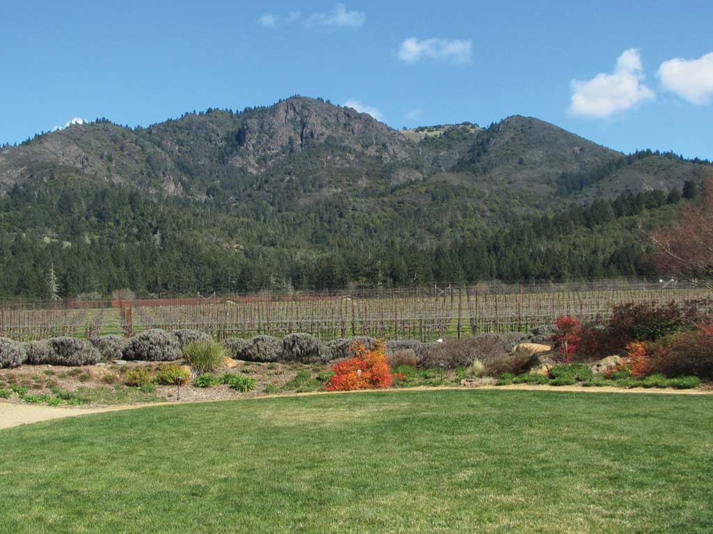 Sonoma Valley Trails WITH DIGITAL