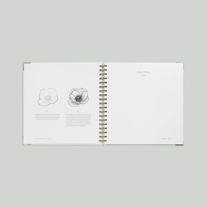 How to Draw Modern Florals