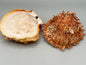 Spondylus Shell Pair 5" - Exact Shell Shown