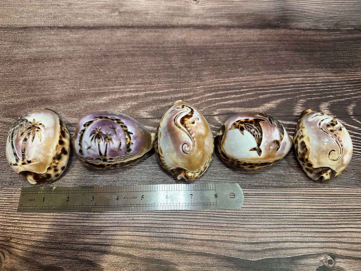 Large Carved Cowrie Shells