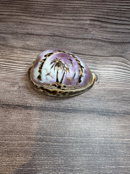Large Carved Cowrie Shells