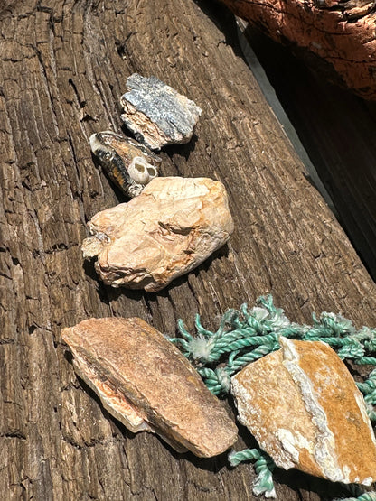 Fossilized Mammoth Teeth Fragments