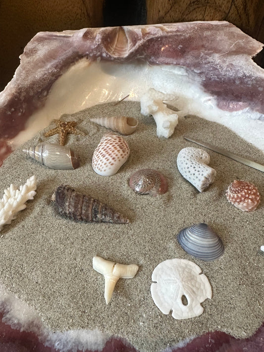 Mystery Shell Dig Bottle