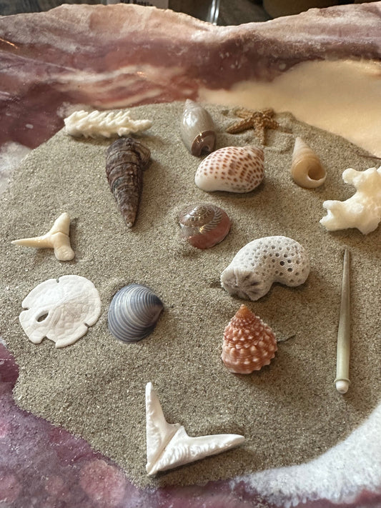 Mystery Shell Dig Bottle