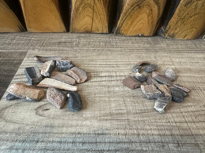 Fossilized Ray Mouth Plate Fragment