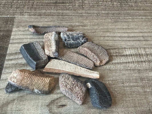 Fossilized Ray Mouth Plate Fragment