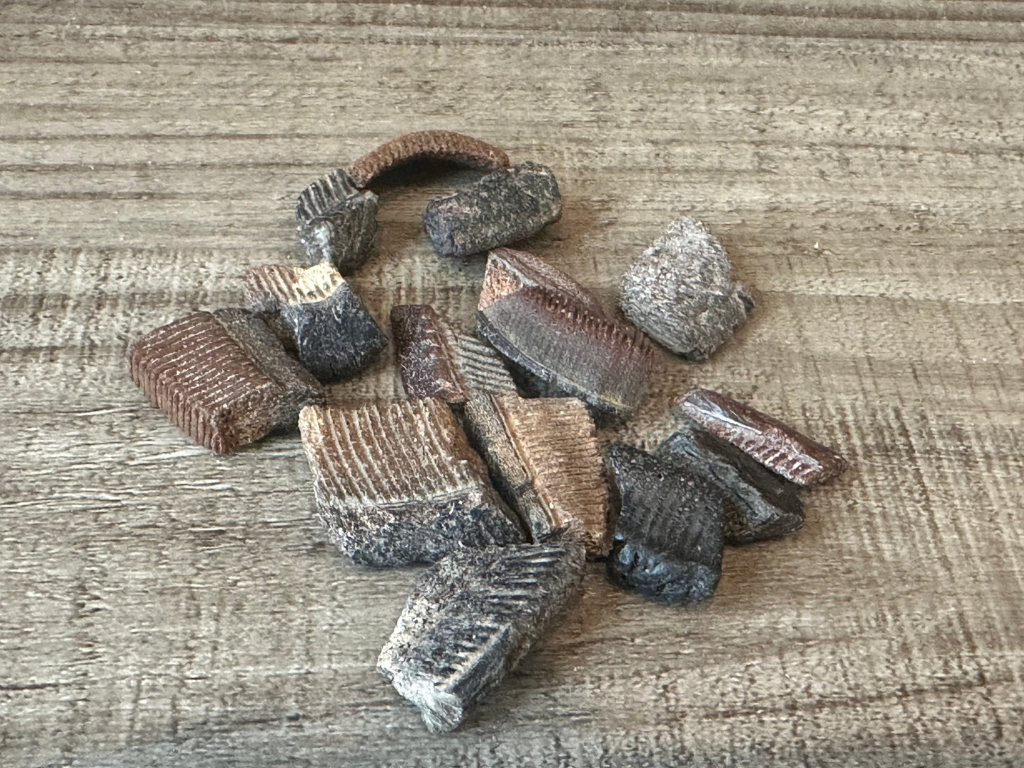 Fossilized Ray Mouth Plate Fragment