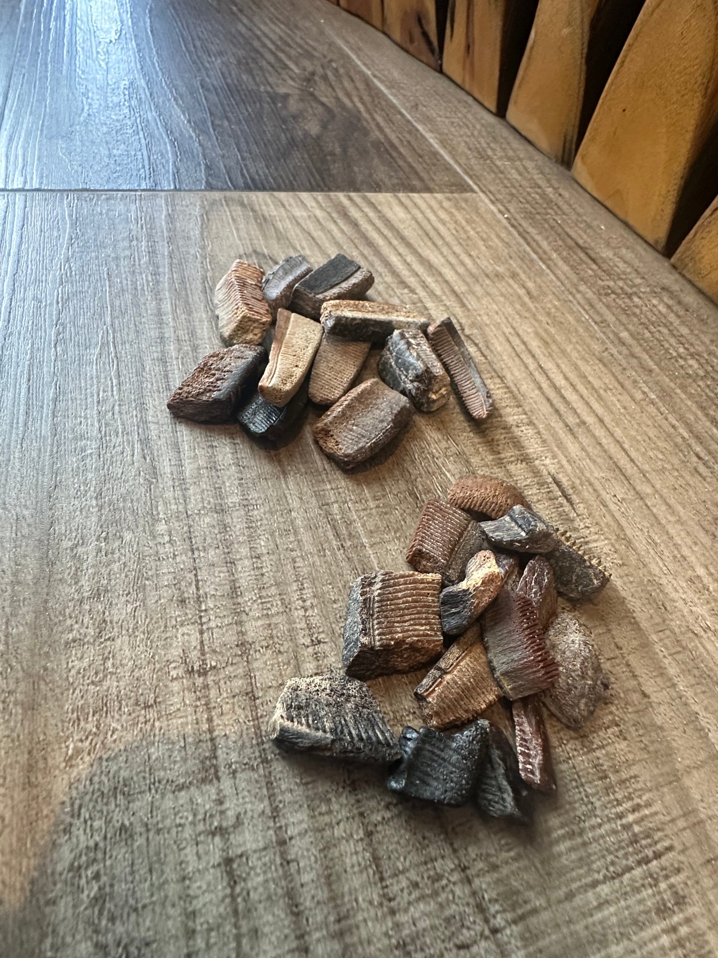 Fossilized Ray Mouth Plate Fragment