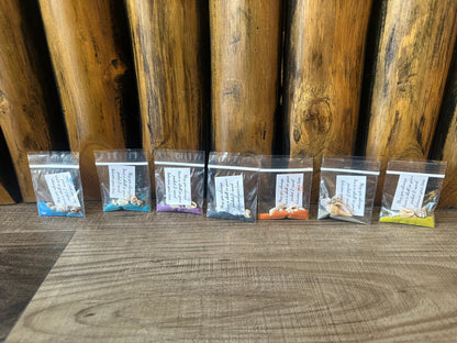 Shell in Your Pocket Sand & Seashell Bag – Coastal Party Favor Gift