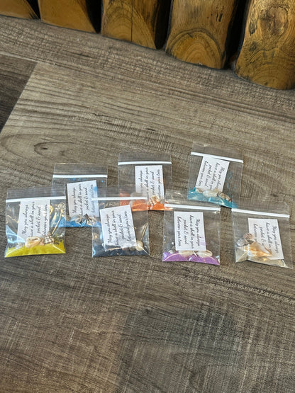 Shell in Your Pocket Sand & Seashell Bag – Coastal Party Favor Gift