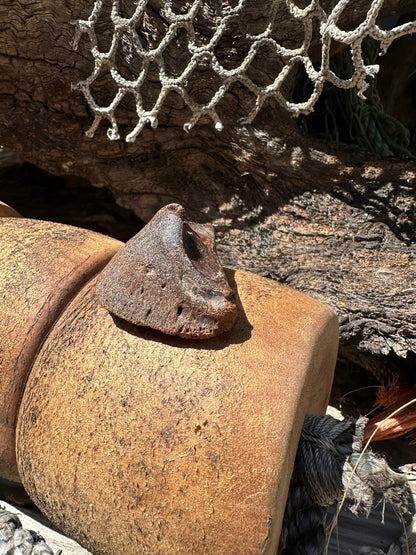 Fossilized Horse or Bison Hoof Core, Port Aransas, TX