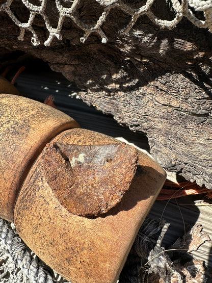 Fossilized Horse or Bison Hoof Core, Port Aransas, TX
