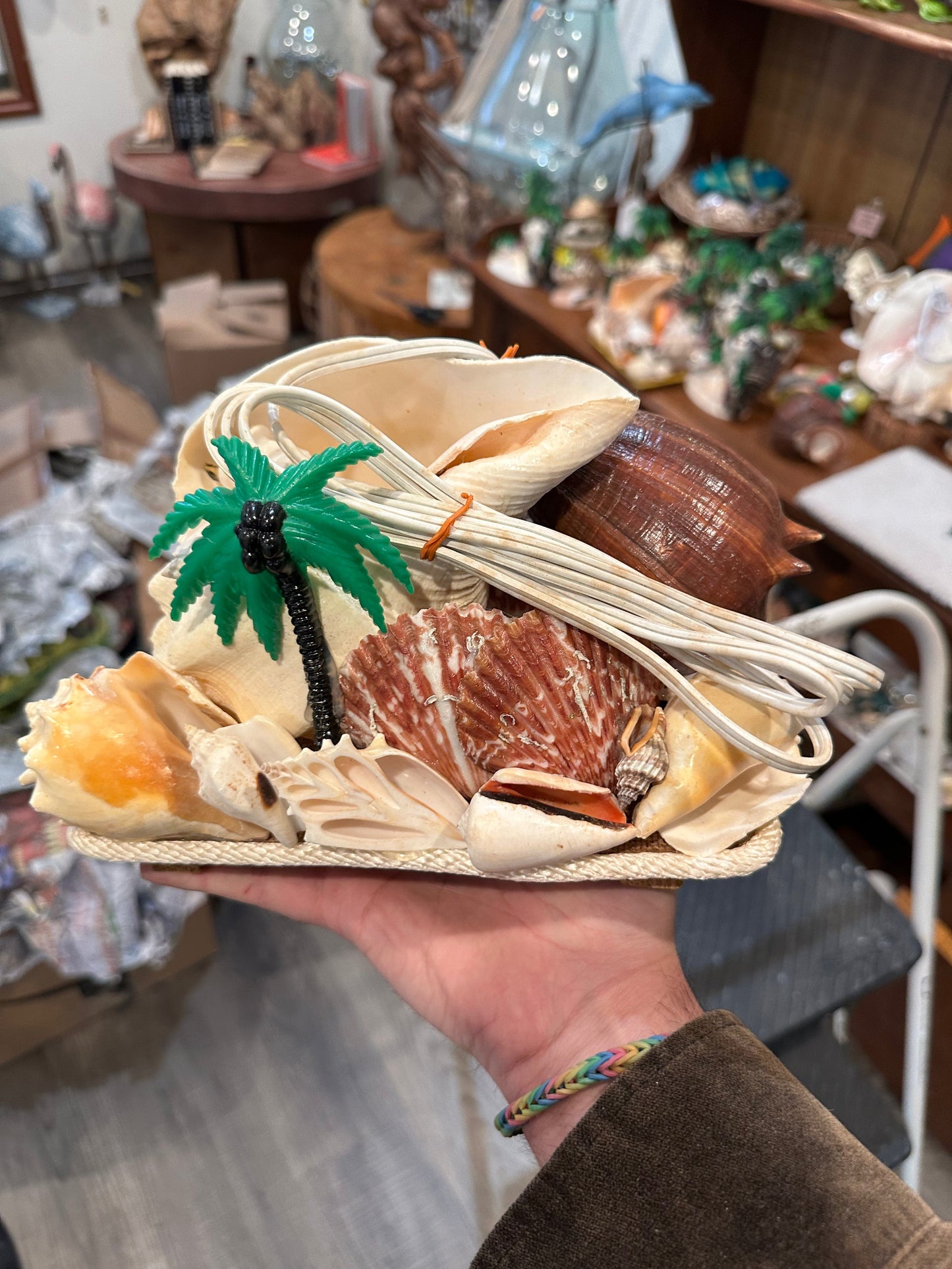 Chank & Mixed Seashells Novelty Light (Seahorse,  Palm Tree, Flamingo, Crucifix Or Marlin Accent)