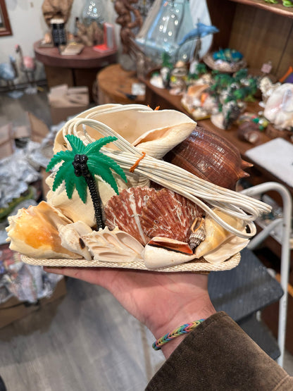 Chank & Mixed Seashells Novelty Light (Seahorse,  Palm Tree, Flamingo, Crucifix Or Marlin Accent)