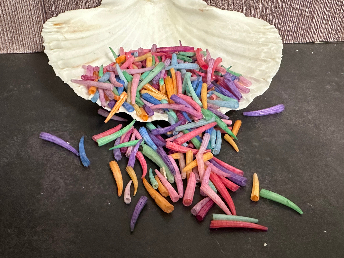 Tusk Shells- Dentalium/ White or Dyed Colorful