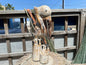 Wooden Pelican Standing on Multiple Piling Statue