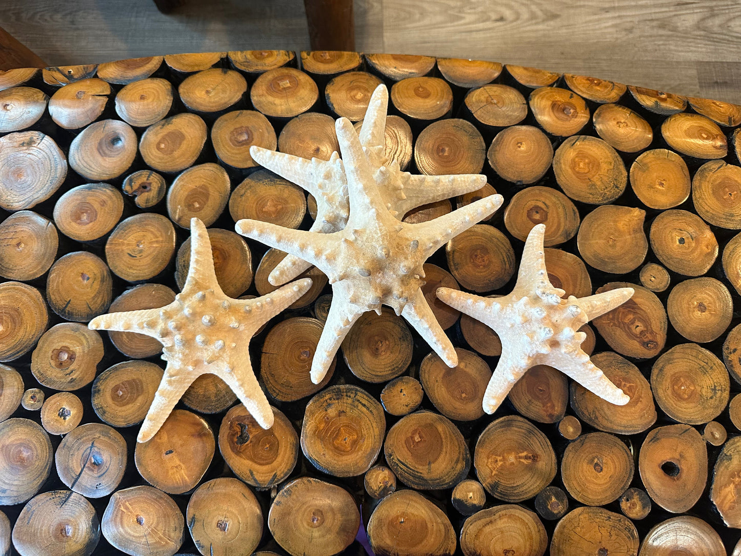 Large Natural/Tan Knobby Starfish
