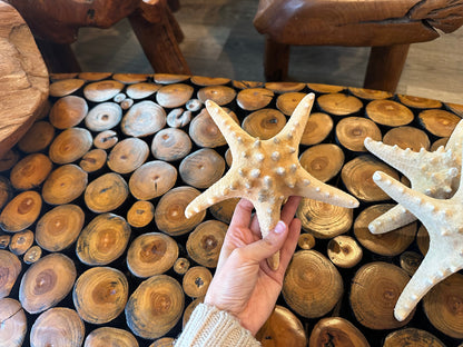 Large Natural/Tan Knobby Starfish