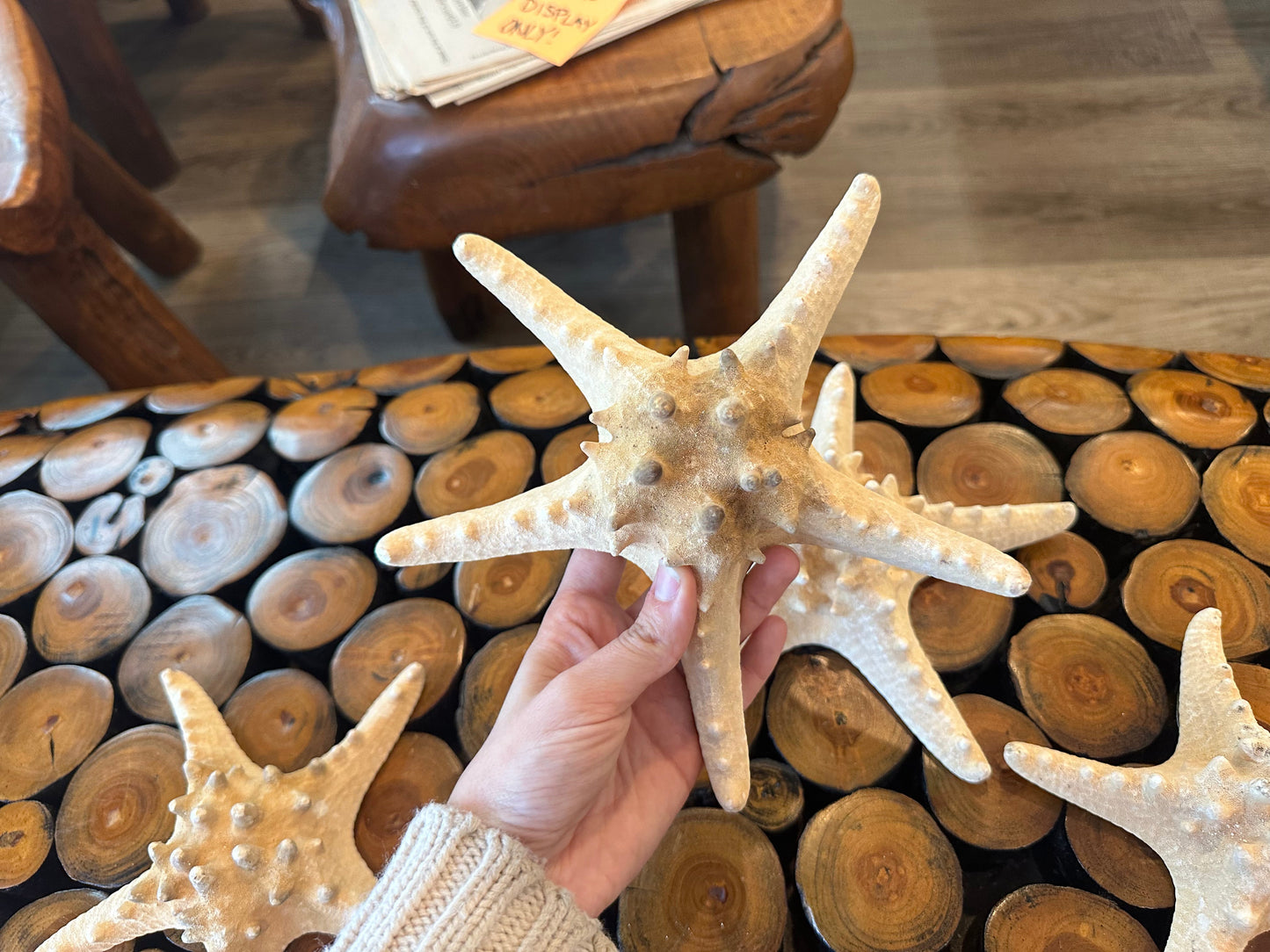 Large Natural/Tan Knobby Starfish