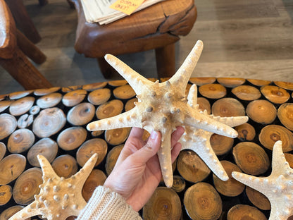 Large Natural/Tan Knobby Starfish