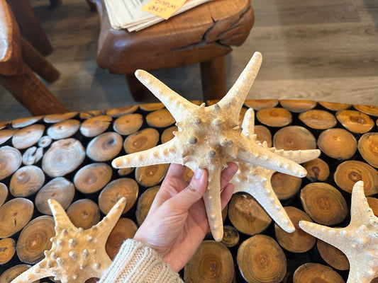 Large Natural/Tan Knobby Starfish