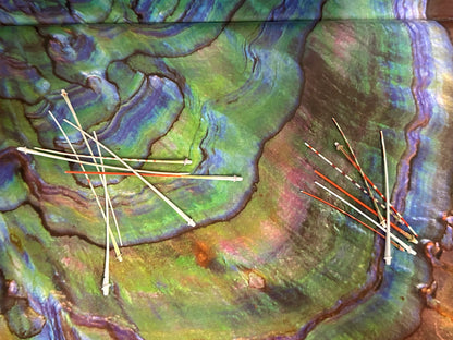Caledonia Urchin Spines