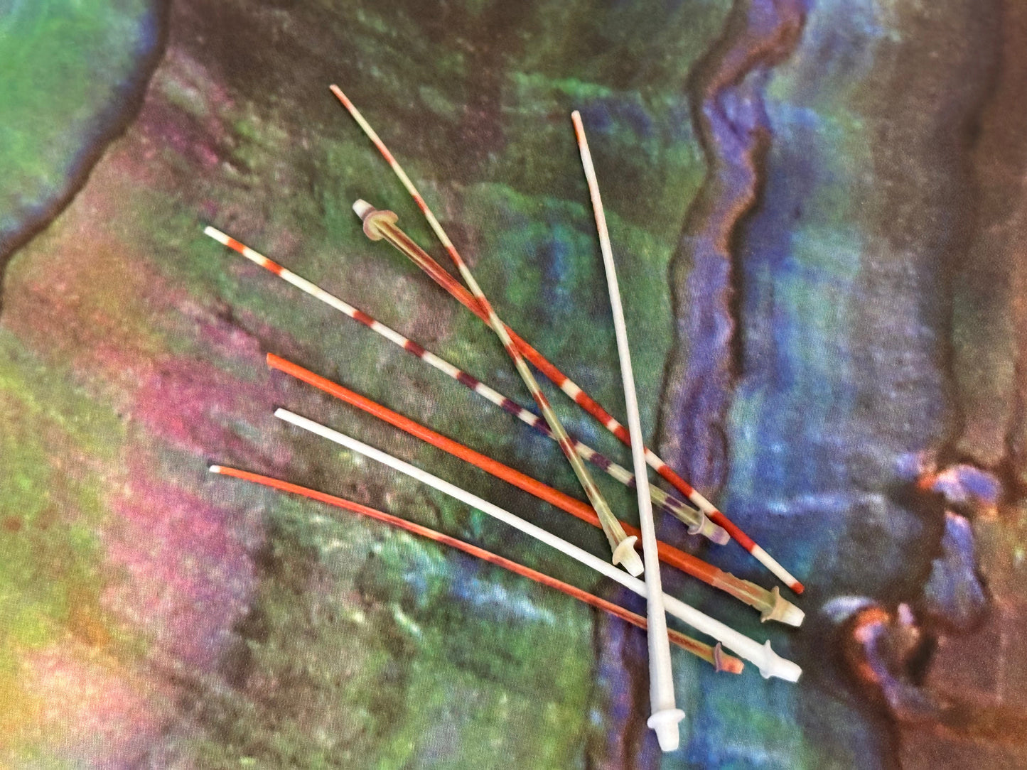 Caledonia Urchin Spines