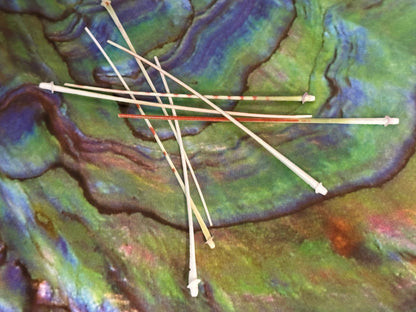 Caledonia Urchin Spines