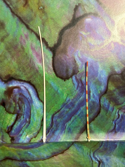 Caledonia Urchin Spines