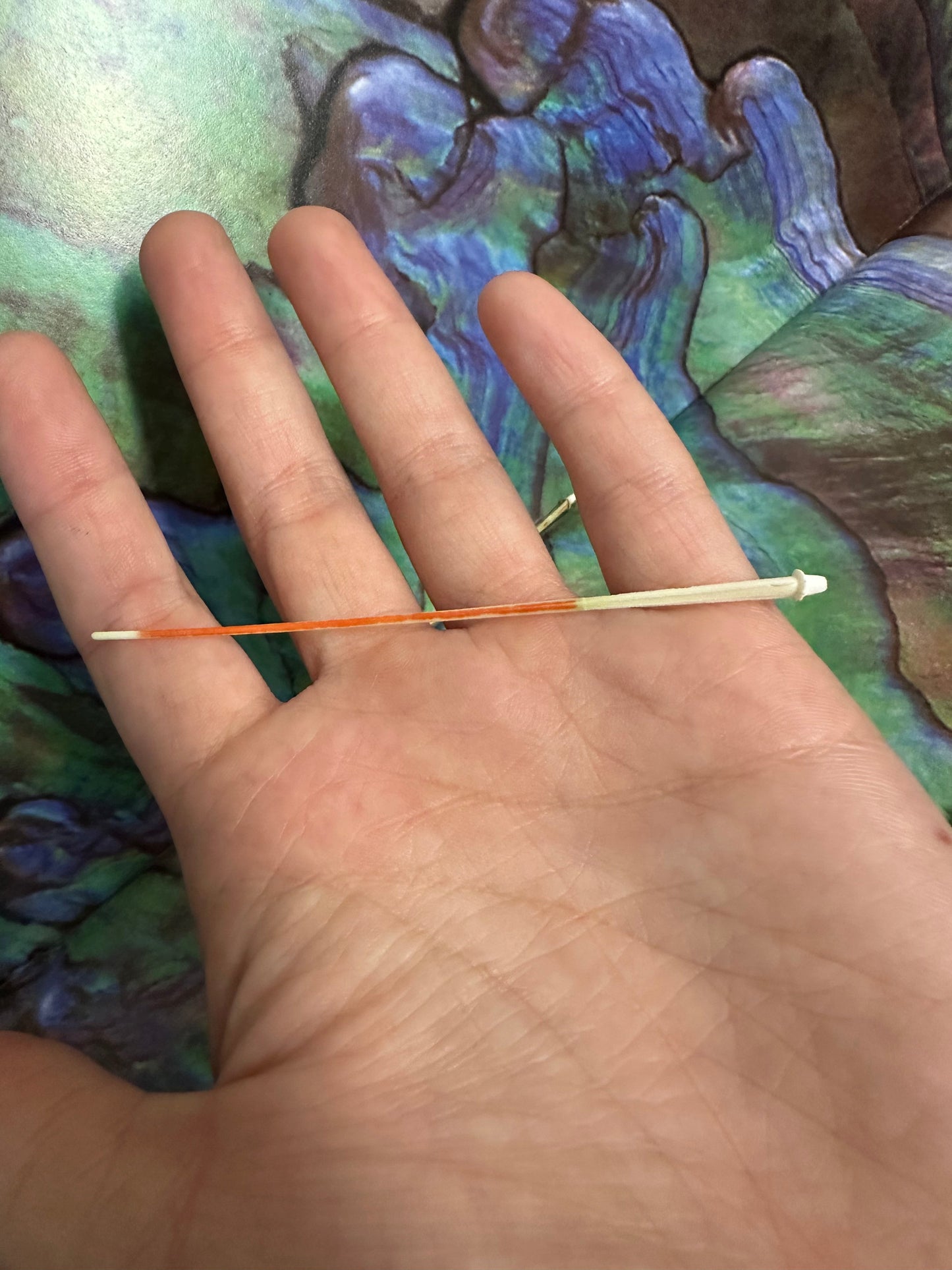 Caledonia Urchin Spines