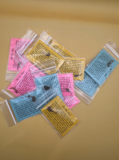 Dried Dwarf Seahorses – Vintage Preserved Craft for DIY & Ocean Projects