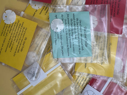 Small Sand Dollar with Legend Story Card – Single or Bulk Party Favors