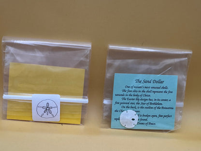 Small Sand Dollar with Legend Story Card – Single or Bulk Party Favors