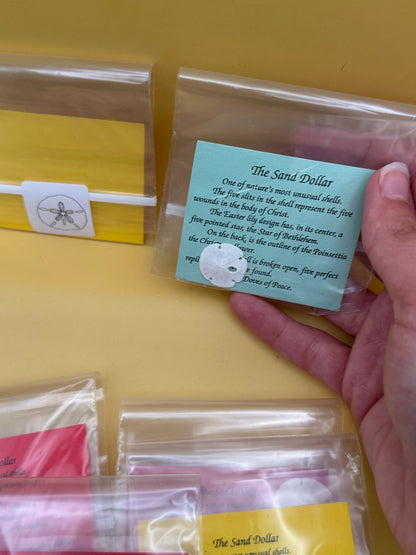 Small Sand Dollar with Legend Story Card – Single or Bulk Party Favors