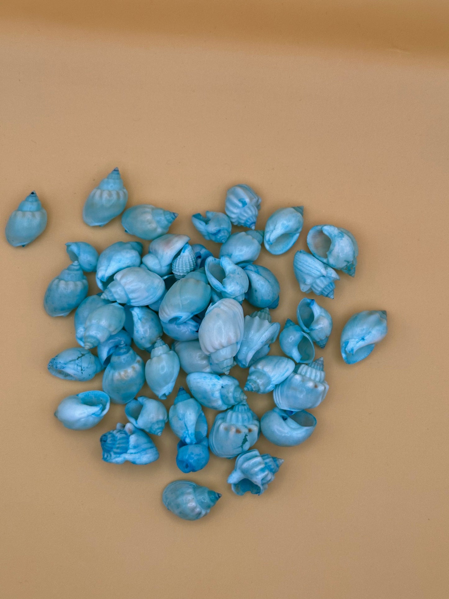 Dyed Cornball & Goblet Shells - Blue Or Yellow