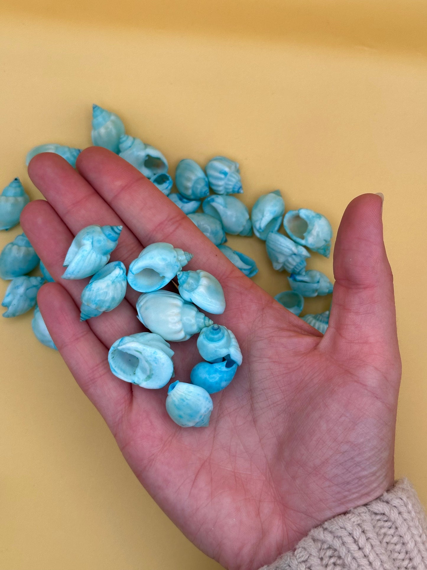 Dyed Cornball & Goblet Shells - Blue Or Yellow