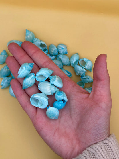 Dyed Cornball & Goblet Shells - Blue Or Yellow