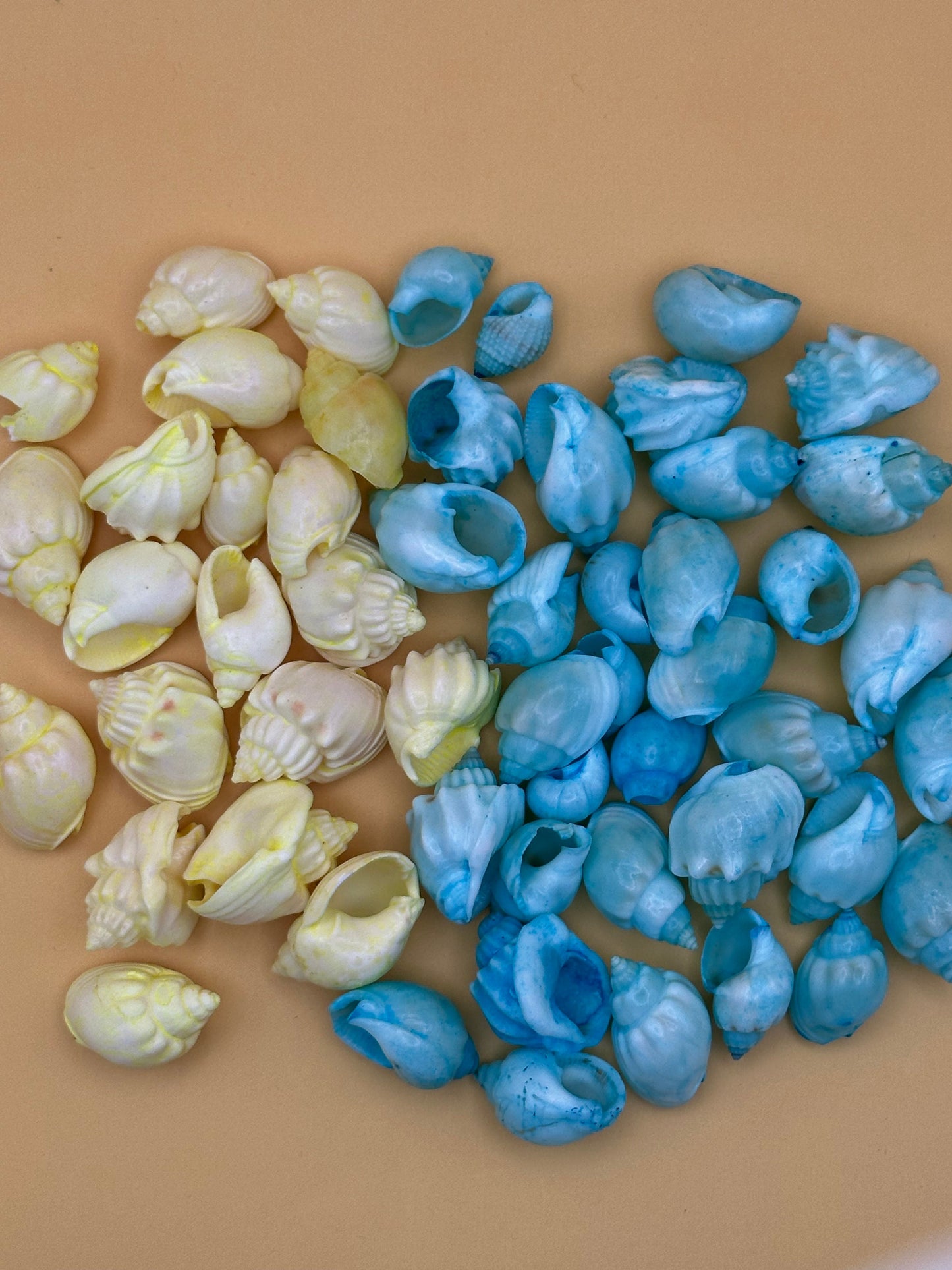 Dyed Cornball & Goblet Shells - Blue Or Yellow