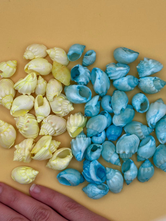 Dyed Cornball & Goblet Shells - Blue Or Yellow