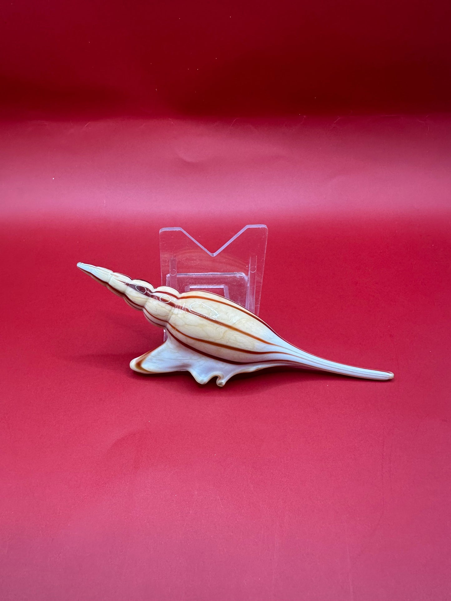 Glass Shell Sculpture – Coastal Home Decor 5-Inch Accent