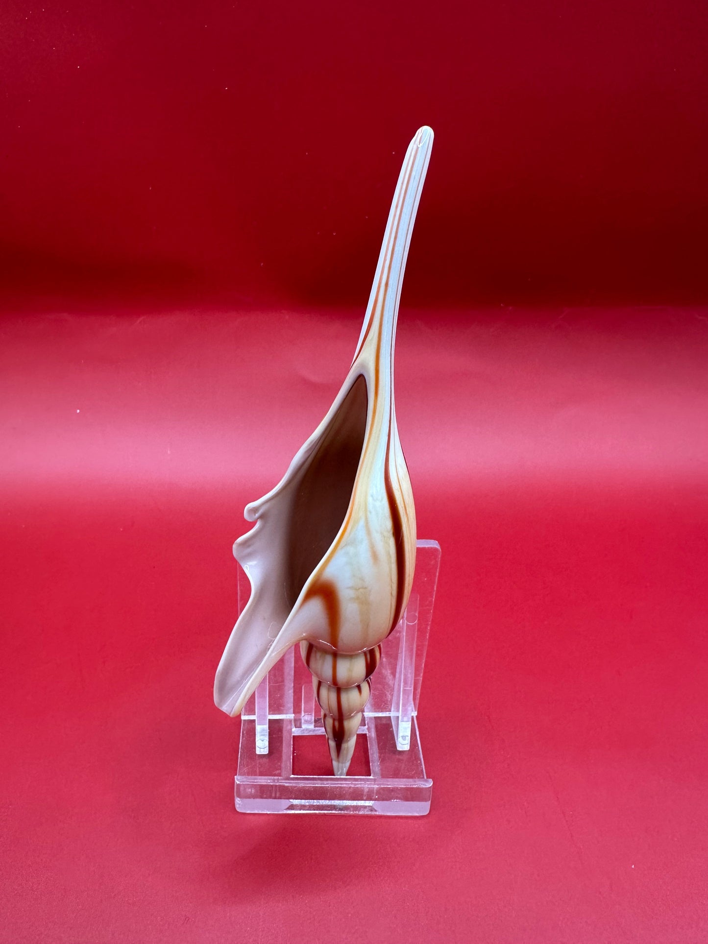 Glass Shell Sculpture – Coastal Home Decor 5-Inch Accent