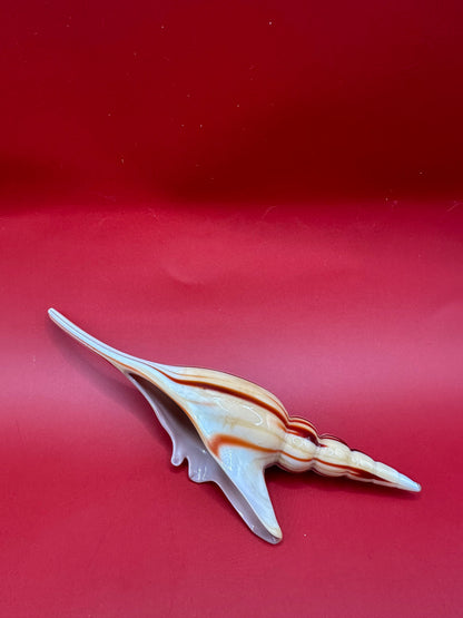 Glass Shell Sculpture – Coastal Home Decor 5-Inch Accent