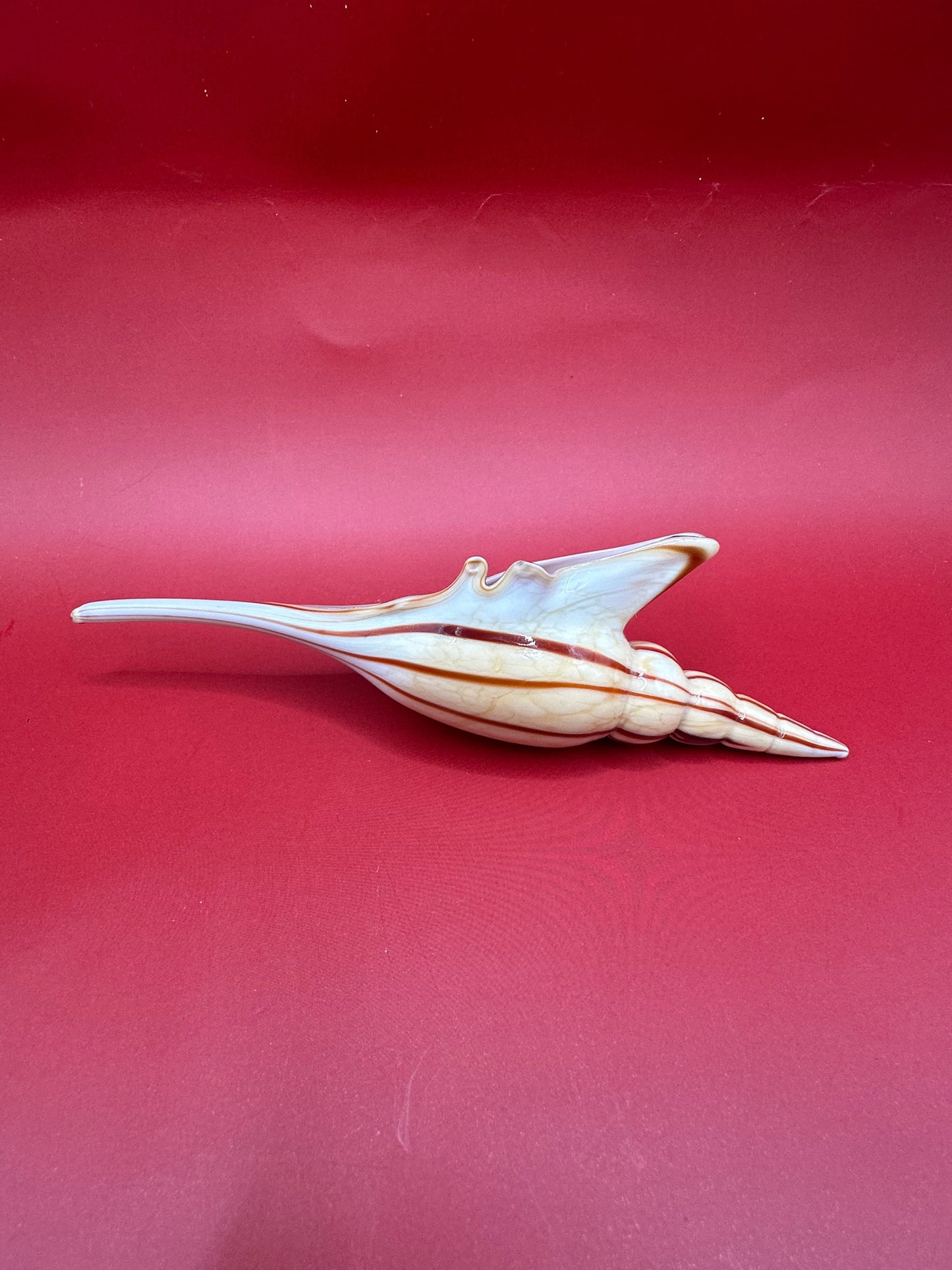 Glass Shell Sculpture – Coastal Home Decor 5-Inch Accent