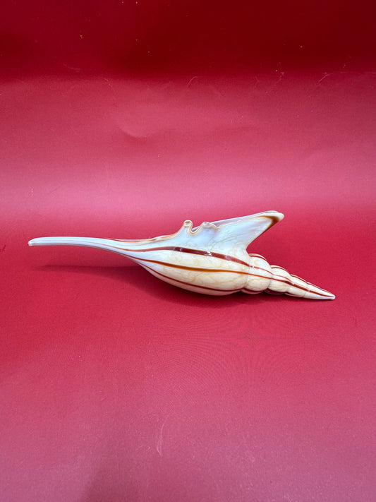 Glass Shell Sculpture – Coastal Home Decor 5-Inch Accent