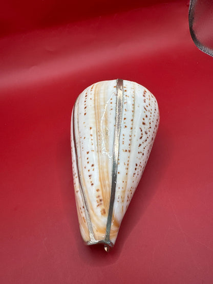 Lettered Cone Display Shell with Silver-Plated Accents – Coastal Decor, 4.25"